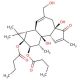 4α-Phorbol 12,13-dibutyrate (CAS 93781-54-5) - chemical structure image