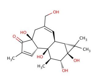 4&alpha;-Phorbol - chemical structure image