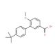 4′-tert-butyl-6-methoxy-1,1′-biphenyl-3-carboxylic acid - chemical structure image