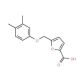 5-[(3,4-dimethylphenoxy)methyl]-2-furoic acid - chemical structure image