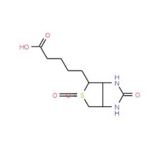 5-[(3aS,4S,6aR)-5,5-dioxido-2-oxohexahydro-1H-thieno[3,4-d]imidazol-4-yl]pentanoic acid - chemical structure image
