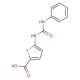 5-[(anilinocarbonyl)amino]thiophene-2-carboxylic acid - chemical structure image