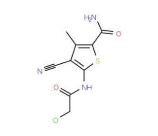 5-[(Chloroacetyl)amino]-4-cyano-3-methylthiophene-2-carboxamide - chemical structure image