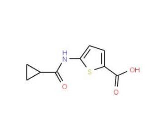 5-[(cyclopropylcarbonyl)amino]thiophene-2-carboxylic acid - chemical structure image