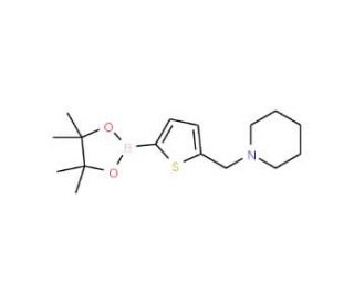 5-(1-Piperidinylmethyl)thiophene-2-boronic acid pinacol ester (CAS 1218790-44-3) - chemical structure image