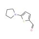 5-(1-Pyrrolidinyl)-2-thiophenecarbaldehyde (CAS 24372-47-2) - chemical structure image