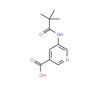 5-(2,2-Dimethyl-propionylamino)-nicotinic acid (CAS 879326-77-9) - chemical structure image