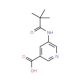 5-(2,2-Dimethyl-propionylamino)-nicotinic acid (CAS 879326-77-9) - chemical structure image