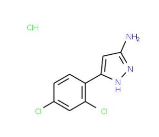 5-(2,4-Dichloro-phenyl)-2H-pyrazol-3-ylamine hydrochloride - chemical structure image