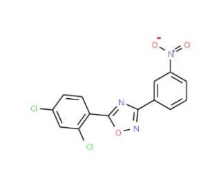 5-(2,4-Dichlorophenyl)-3-(3-nitrophenyl)-1,2,4-oxadiazole (CAS 694521-58-9) - chemical structure image
