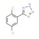 5-(2,5-Dichlorophenyl)-1H-tetrazole (CAS 98555-71-6) - chemical structure image