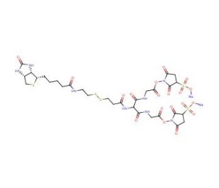 5-[2-Biotinylamidoethyl]-dithiopropionamido]-3,7-diaza-4,6-diketononanoic Acid, Bis-N-sulfosuccinimidyl Ester - chemical stru