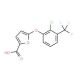 5-[2-chloro-3-(trifluoromethyl)phenoxy]-2-furoic acid - chemical structure image