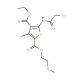 5-(2-Chloro-acetylamino)-3-methyl-thiophene-2,4-dicarboxylic acid 4-ethyl ester 2-(2-methoxy-ethyl) ester 的分子结构 5-(2-Chloro-acetylamino)-3-methyl-thiophene-2,4-dicarboxylic acid 4-ethyl ester 2-(2-methoxy-ethyl) ester - chemical structur