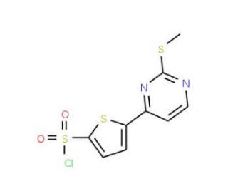 5-[2-(Methylthio)pyrimidin-4-yl]thiophene-2-sulphonyl chloride (CAS 175202-76-3) - chemical structure image