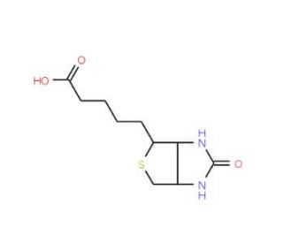 5-(2-Oxo-hexahydro-thieno[3,4-d]imidazol-6-yl)-pentanoic acid (CAS 58-85-5) - chemical structure image