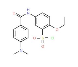 5-(4-Dimethylamino benzoylamino)-2-ethoxy benzenesulfonyl chloride (CAS 680617-94-1) - chemical structure image