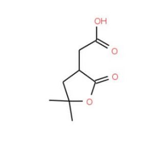 (5,5-Dimethyl-2-oxo-tetrahydro-furan-3-yl)-aceticacid - chemical structure image