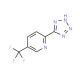 5-[5-(Trifluoromethyl)pyridin-2-yl]-1H-tetrazole (CAS 175334-70-0) - chemical structure image