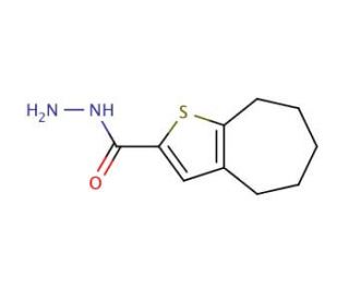 5,6,7,8-Tetrahydro-4H-cyclohepta[b]thiophene-2-carboxylic acid hydrazide (CAS 588696-80-4) - chemical structure image