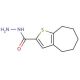 5,6,7,8-Tetrahydro-4H-cyclohepta[b]thiophene-2-carboxylic acid hydrazide (CAS 588696-80-4) - chemical structure image