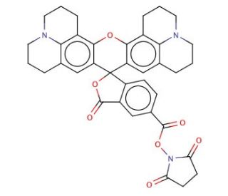 5(6)-Carboxy-X-rhodamine N-succinimidyl ester (CAS 114616-32-9) - chemical structure image
