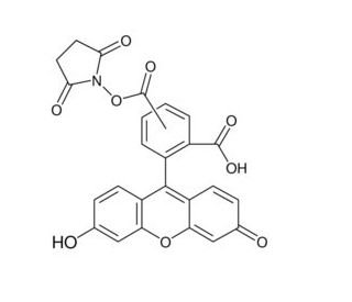 5(6)-Carboxyfluorescein N-hydroxysuccinimide ester (CAS 117548-22-8) - chemical structure image 