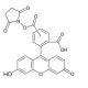 5(6)-Carboxyfluorescein N-hydroxysuccinimide ester (CAS 117548-22-8) - chemical structure image 