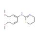 (5,6-Dihydro-4H-[1,3]thiazin-2-yl)-(3,4-dimethoxy-phenyl)-amine - chemical structure image