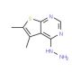 (5,6-Dimethyl-thieno[2,3-d]pyrimidin-4-yl)-hydrazine (CAS 63894-54-2) - chemical structure image