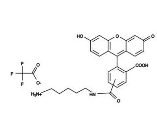 5(6)-FAM cadaverine - chemical structure image