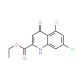 5,7-Dichloro-4-hydroxy-quinoline-2-carboxylic acid ethyl ester 的分子结构, CAS编号: 157848-08-3 5,7-Dichloro-4-hydroxy-quinoline-2-carboxylic acid ethyl ester (CAS 157848-08-3) - chemical structure image