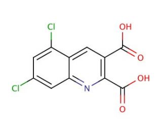 5,7-Dichloroquinoline-2,3-dicarboxylic acid (CAS 948293-77-4) - chemical structure image