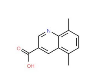 5,8-Dimethylquinoline-3-carboxylic acid (CAS 763893-29-4) - chemical structure image