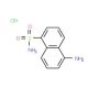 5-Amino-1-naphthalenesulfonamide Hydrochloride (CAS 1215328-08-7) - chemical structure image