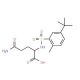 5-amino-2-{[(5-tert-butyl-2-methylphenyl)sulfonyl]amino}-5-oxopentanoic acid - chemical structure image
