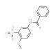 5-Benzoylamino-2-methoxy-benzenesulfonyl chloride - chemical structure image