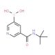 5-Borono-N-(tert-butyl)nicotinamide (CAS 913835-99-1) - chemical structure image