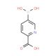 5-Boronopicolinic acid (CAS 913836-11-0) - chemical structure image