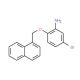 5-Bromo-2-(1-naphthylmethoxy)phenylamine - chemical structure image