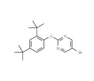 5-bromo-2-(2,4-di-tert-butylphenoxy)pyrimidine (CAS 1017788-99-6) - chemical structure image