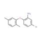 5-Bromo-2-(2,5-dimethylphenoxy)aniline - chemical structure image