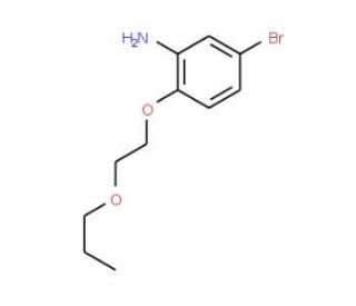 5-Bromo-2-(2-propoxyethoxy)aniline - chemical structure image