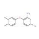 5-Bromo-2-(3,4-dimethylphenoxy)aniline - chemical structure image
