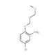 5-Bromo-2-(3-methoxypropoxy)aniline - chemical structure image