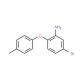 5-Bromo-2-(4-methylphenoxy)aniline - chemical structure image