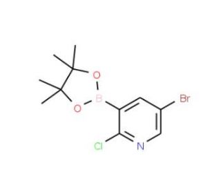5-Bromo-2-chloropyridine-3-boronic acid pinacol ester (CAS 1073354-79-6) - chemical structure image
