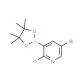 5-Bromo-2-chloropyridine-3-boronic acid pinacol ester (CAS 1073354-79-6) - chemical structure image