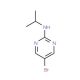 5-Bromo-2-isopropylaminopyrimidine (CAS 77476-95-0) - chemical structure image