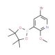 5-Bromo-2-methoxypyridine-3-boronic acid, pinacol ester (CAS 1073353-75-9) - chemical structure image